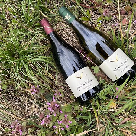 Апартаменты Weingut & Strausswirtschaft Vogel Фогтсбург Экстерьер фото