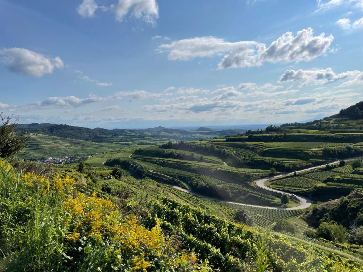 Апартаменты Weingut & Strausswirtschaft Vogel Фогтсбург Экстерьер фото