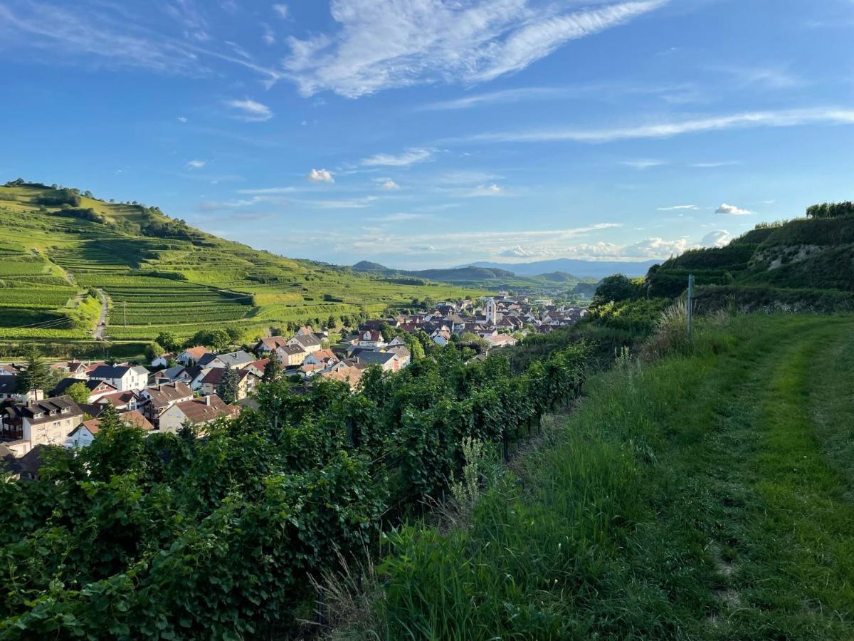 Апартаменты Weingut & Strausswirtschaft Vogel Фогтсбург Экстерьер фото