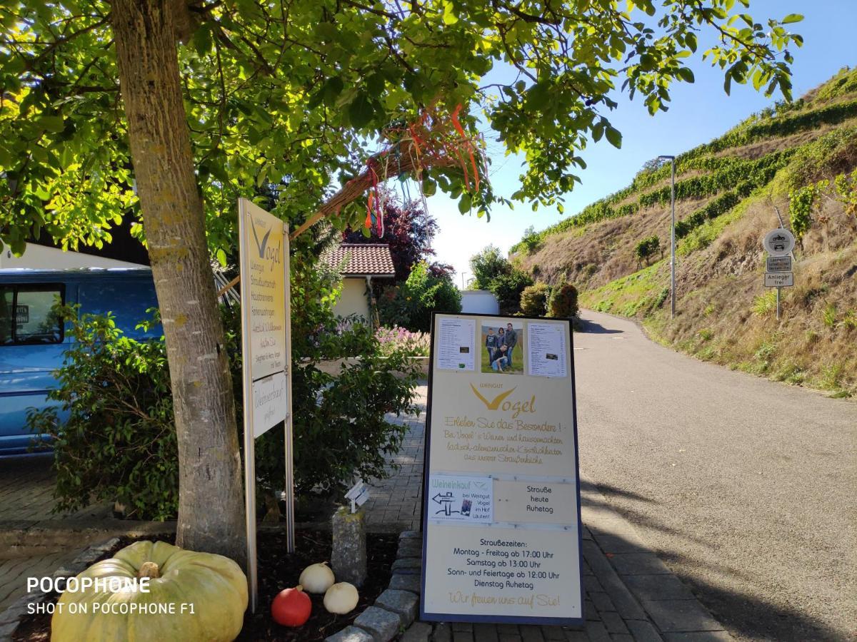 Апартаменты Weingut & Strausswirtschaft Vogel Фогтсбург Экстерьер фото