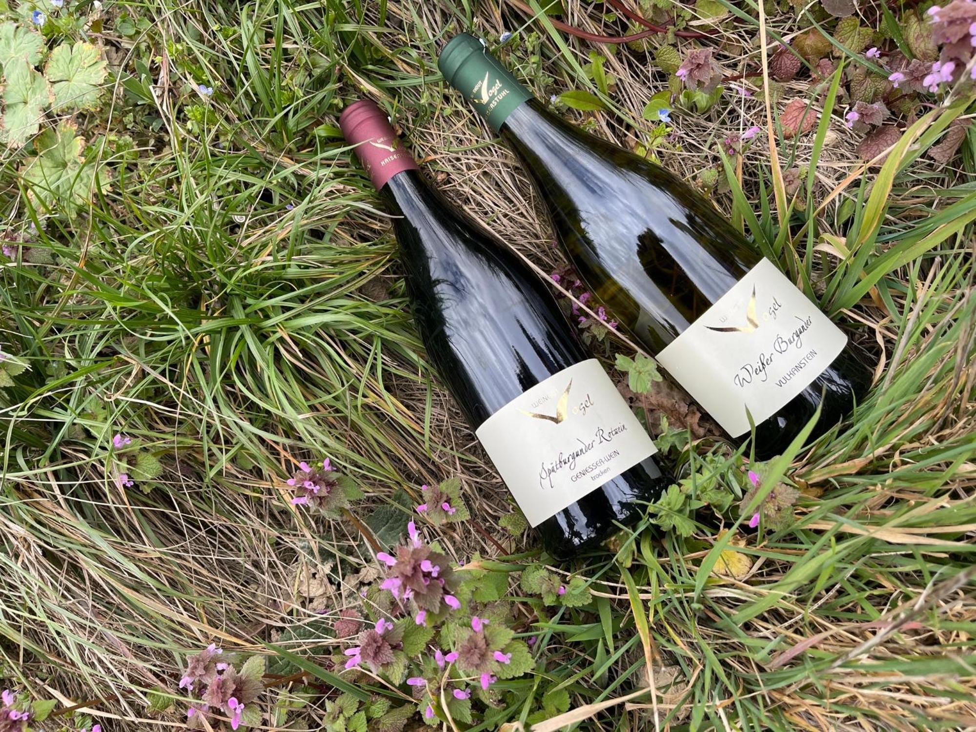 Апартаменты Weingut & Strausswirtschaft Vogel Фогтсбург Экстерьер фото